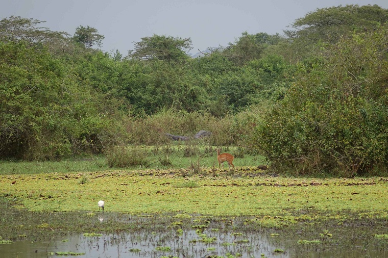 Lake Mburo National Park en Uganda
