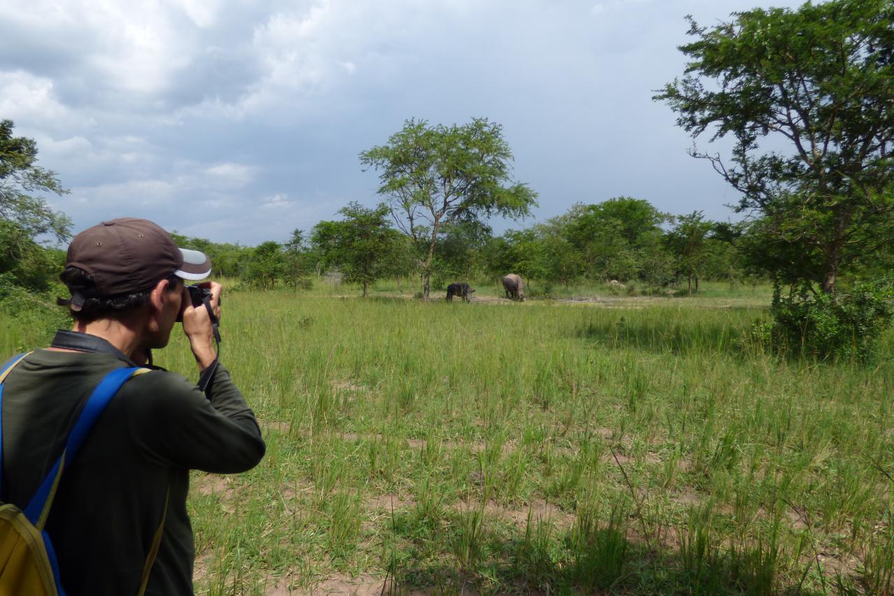 Rinocerontes en el Ziwa Rhino Sanctuary