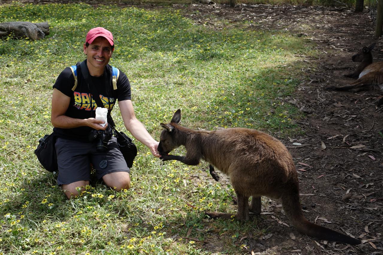 Visita del Kangaroo Island Wildlife Park en Australia