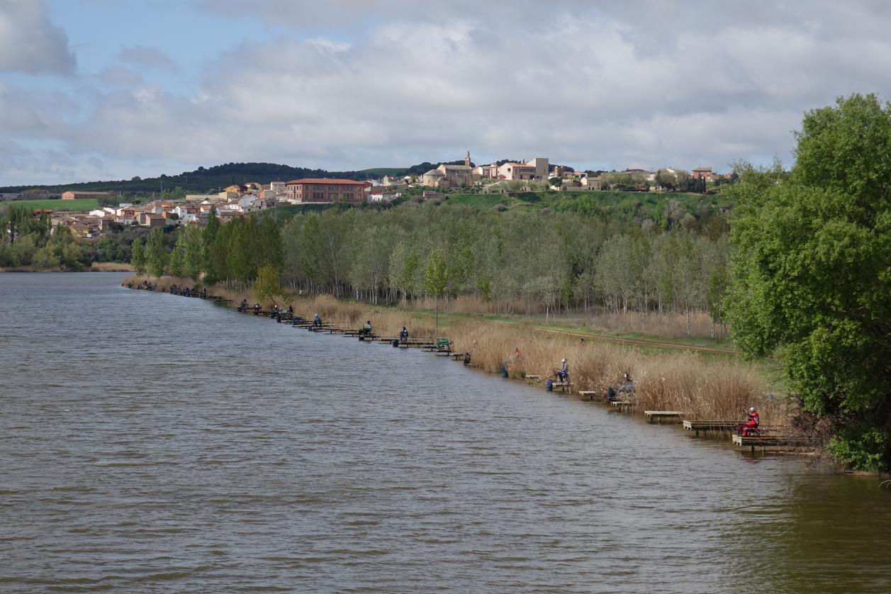 Senda de los pescadores en Castronuño en Valladolid